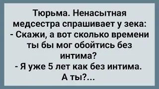 Ненасытная Медсестра в Мужской Зоне! Сборник Свежих Анекдотов! Юмор!