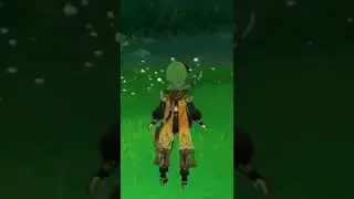 Genshin Impact - Collei Gameplay