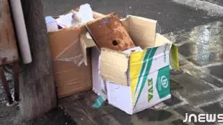Trash