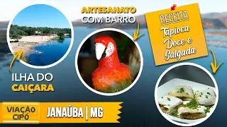 Janaúba: uma cidade INCRÍVEL do Norte de Minas | A Viação Cipó te conta tudo!