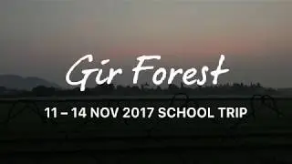 Gir Forest Trip 2017