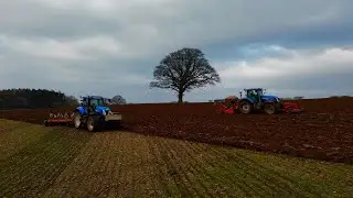 WINTER WHEAT IN SPRING--T7 HEAVEN