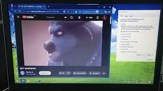 Zootopia NOT NOW!!!! has BSOD