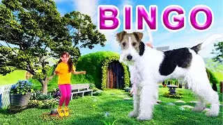 BINGO | Kids Songs