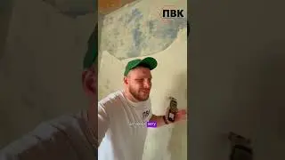 Why did the plaster fall off the walls?