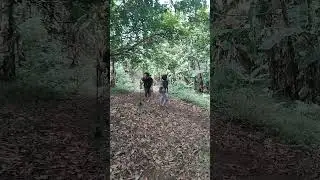 Kalisungan 4