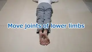Move joints of lower limbs left and right