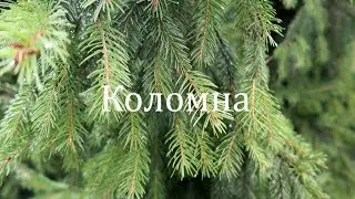 Самый душевный VLOG | Коломна | Настя Джей