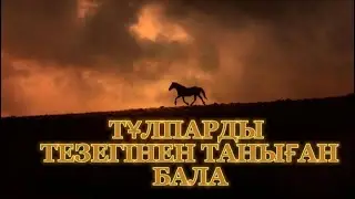 ТҰЛПАРДЫ ТЕЗЕГІНЕН ТАНИТЫН ҚАНАЙ СЫНШЫ (аңыз)