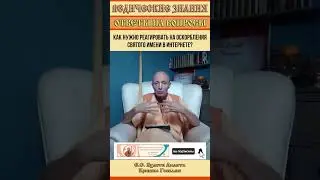 Как нужно реагировать на оскорбления Святого имени в интернете?