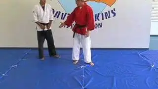 Kung Fu San Soo-Lesson 1