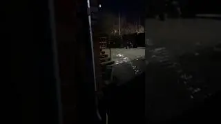 В дождь даже собаки ниче не хотят делать