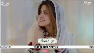 Saraiki Song Status TikTok Viral Song 2023