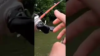 Missed A Giant Gar While Kayak Fishing!!