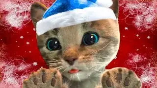 МАЛЕНЬКИЙ КОТЕНОК - Кид нашел котика в коробке 