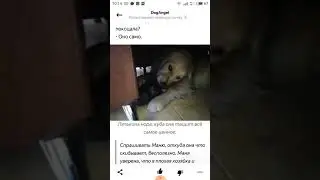 Аудио. ЛЯЛЯ СНИМАЕТ НЕРВНУЮ ПОЧВУ