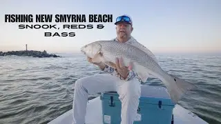 Bull Reds, Snook and Largemouth Bass in New Smyrna! Old Florida Tour in 17 Whaler