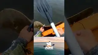 um peixe gigantesco 2 #shorts