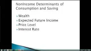 NonIncome Determinants of Consumption and Saving