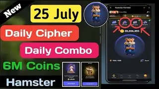 25 July Hamster Kombat Daily Combo & Cipher Code | Hamster Kombat Daily Cipher Hamster Daily Combo