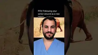 POV: Following your senior resident as an intern