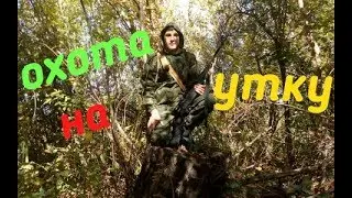 ОСЕННЯЯ ОХОТА НА УТКУ,КУПИЛ КАМУФЛЯЖ.