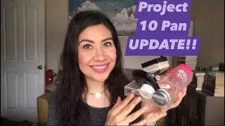 Project 10 Pan Update #1