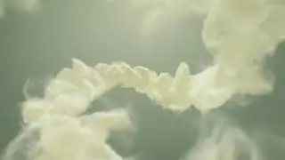 520 c9   Colorful Smoke Reveal Logo beauty particle intro V9