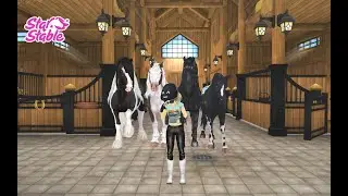 When you're trying to find the right horse to ride...| SSO SKIT