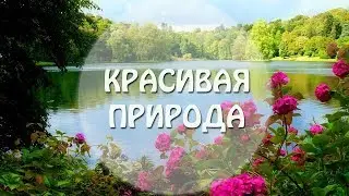 Удивительно красивые уголки природы. Лес и красивая природа..