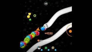 Easy Frant Snake Fight