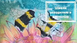Рисуем шмелей акварелью, тушью, пастелью, гелевыми ручками.