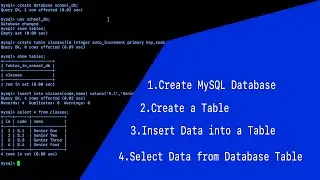 How to Create a MySQL Database , Add Datable Table And Insert Data into MySQL 8.0.0 in  2022