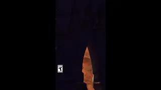 Survivor: 76 Soldier: 76