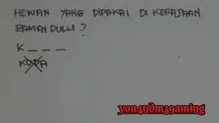 Bukan kuda