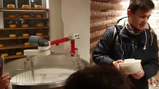 Как делают сыр в Голландии.