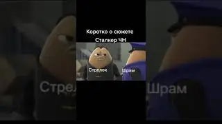 КОРОТКО О СЮЖЕТЕ СТАЛКЕР ЧИСТОЕ НЕБО 