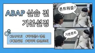 ABAP 개발환경 설정하기