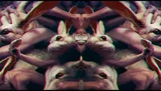 SpectralTec 015: FeverDream