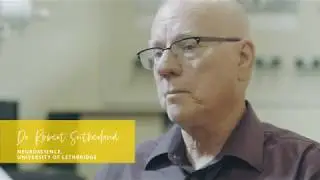 Lighting the Way: Alzheimer's Research at the University of Lethbridge