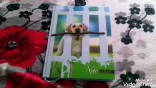Мой лд номер 7