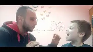 Звук 