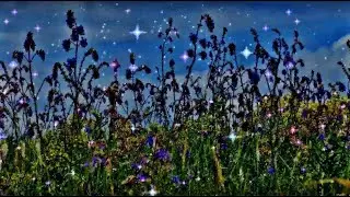 и цветы, и шмели, и трава, и колосья, и лазурь, и полуденный зной...