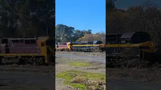 Seymour Rail Heritage's C501 pulling passenger cars into Benalla, Victoria on the Slow Rail Journey