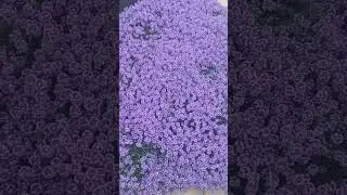 14 июня 2024 г.