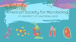 American Society of Microbiology Picnic Day Event: DIY Winogradsky Column