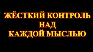 Осознанность, иммунная система, стрессовые ситуации.