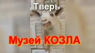 Тверь. Музей Козла.