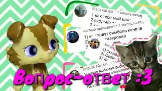 Вопрос-ответ #5 / почему я так редко снимаю ?...💥✨
