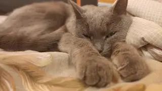 Навещаем муравьёв. Новый участник канала!!!